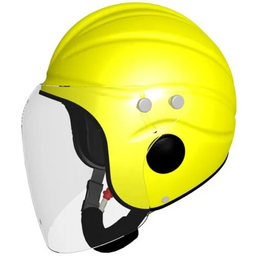marine pilot Helmet gecko